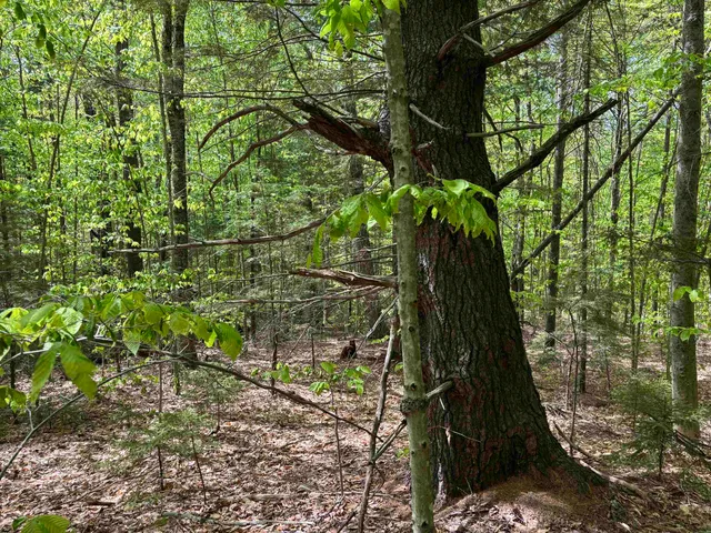 $89,000 | 0 Snell Road, Chester, VT 05143