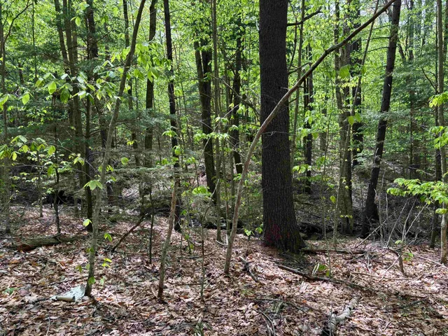 $89,000 | 0 Snell Road, Chester, VT 05143