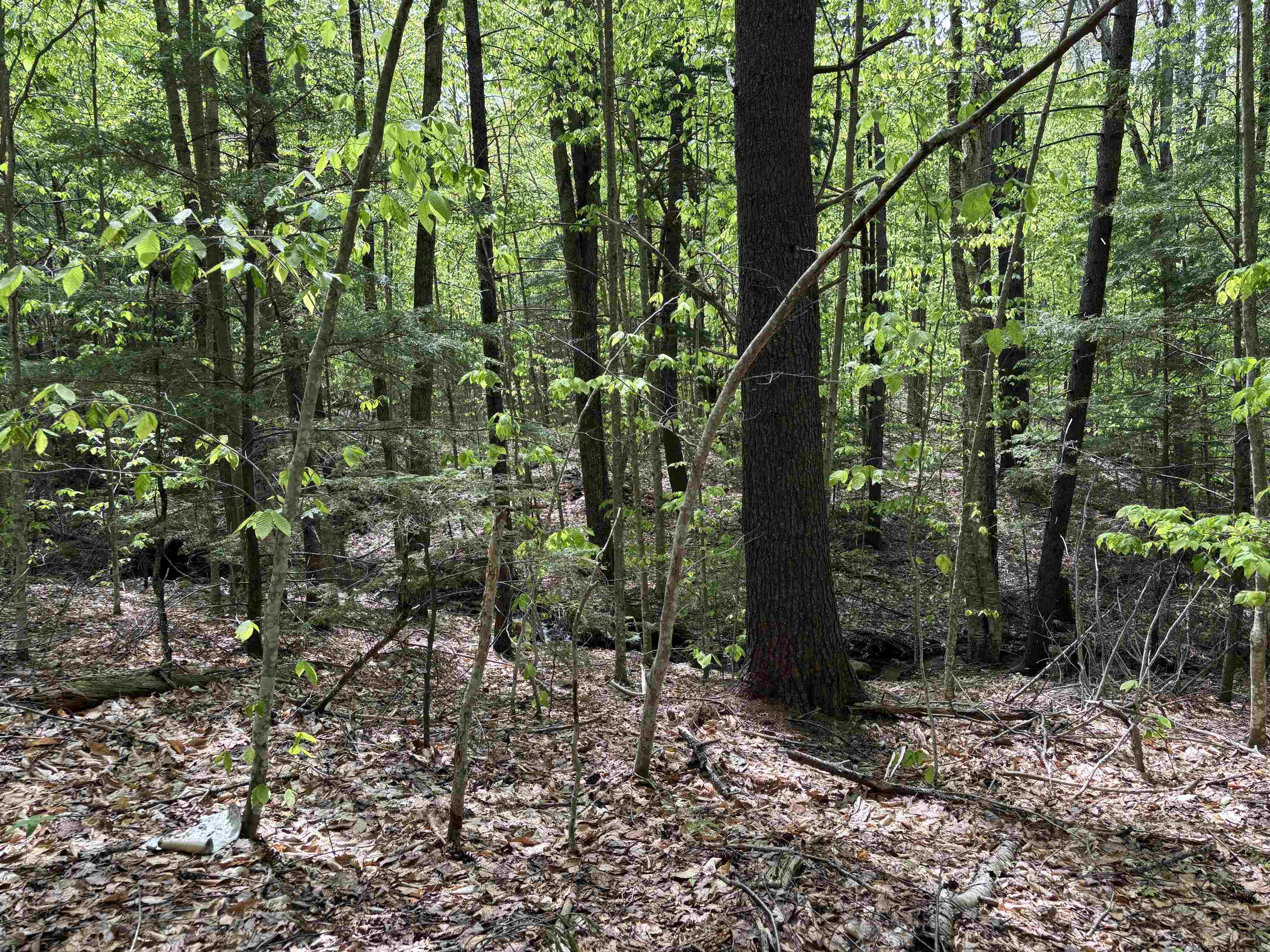 0 Snell Road Chester, VT 05143 - Photo 20 of 24