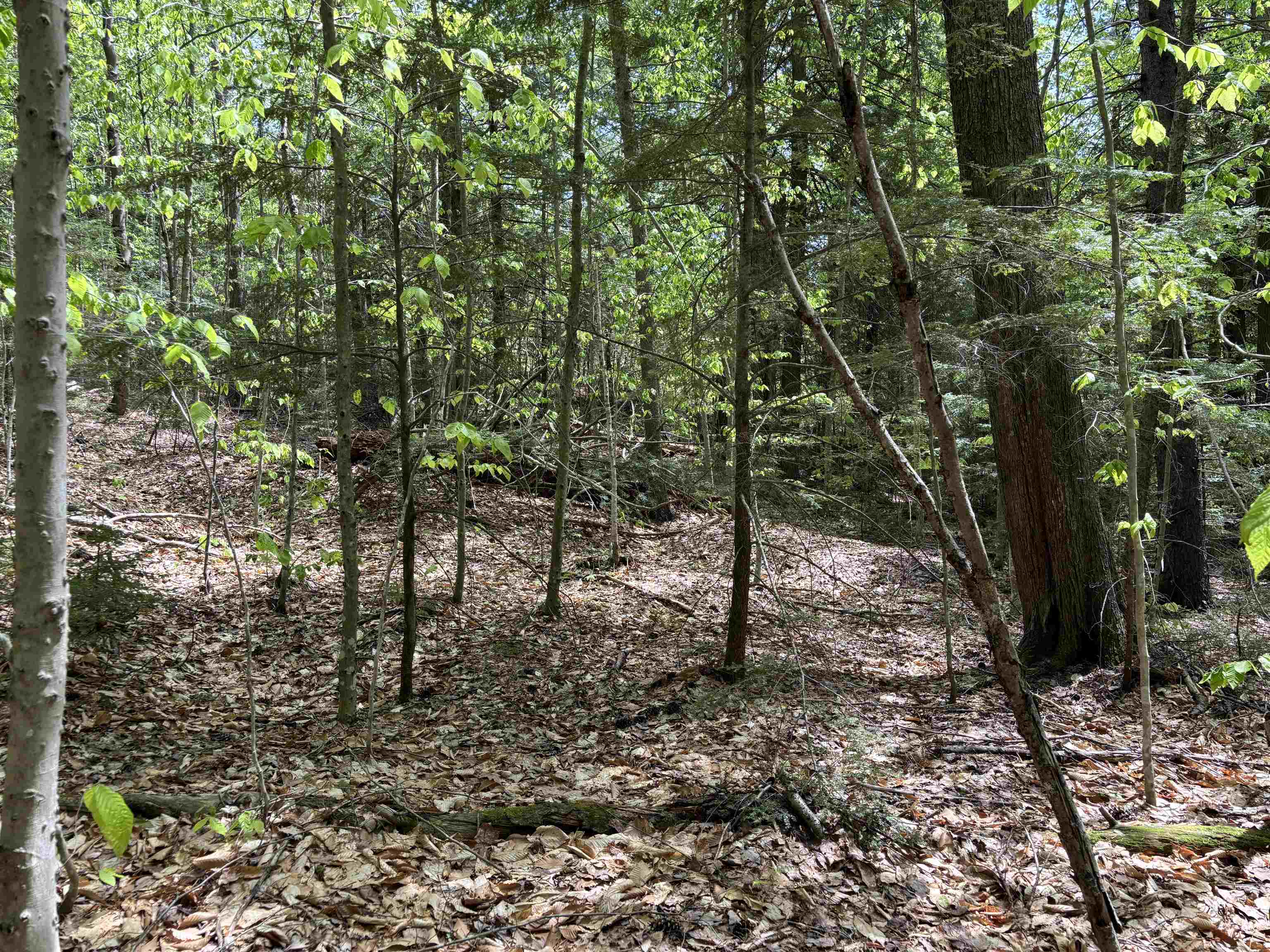 0 Snell Road Chester, VT 05143 - Photo 22 of 24