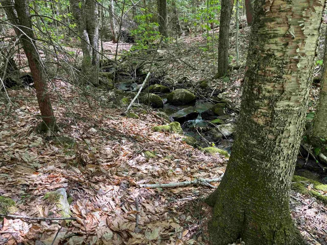 $89,000 | 0 Snell Road, Chester, VT 05143