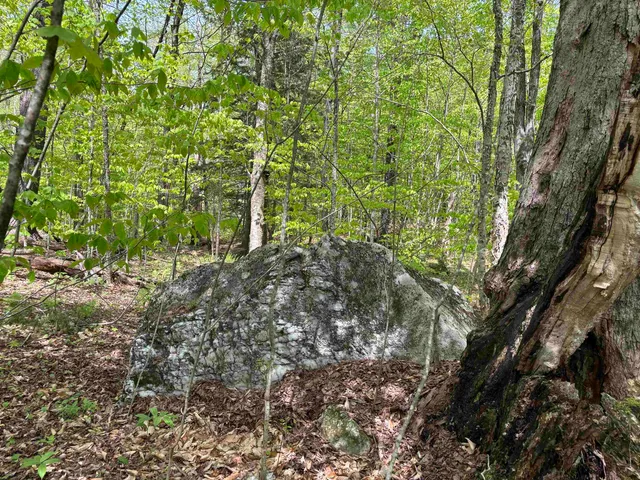 $89,000 | 0 Snell Road, Chester, VT 05143