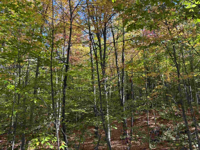 $89,000 | 0 Snell Road, Chester, VT 05143