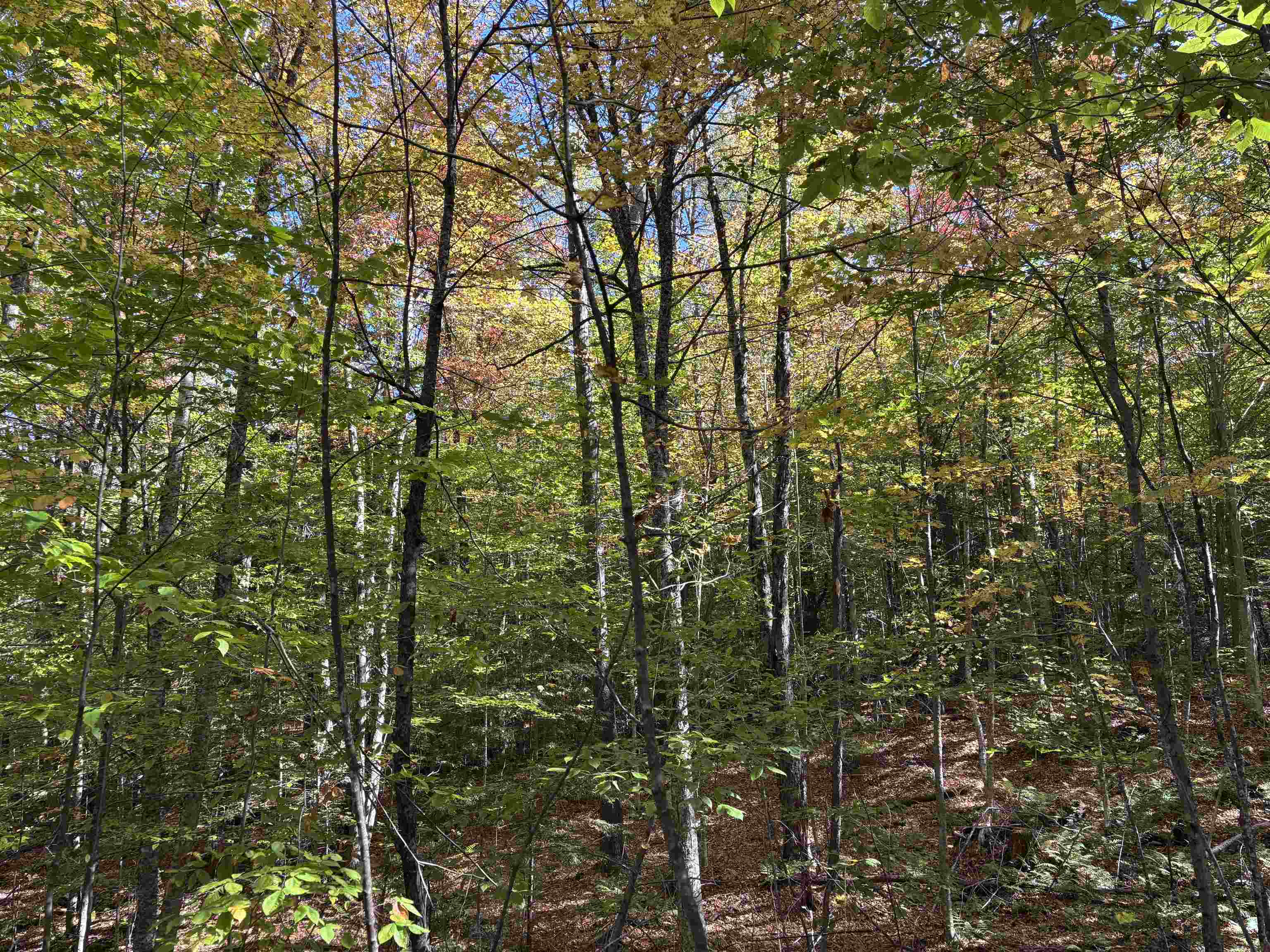 0 Snell Road Chester, VT 05143 - Photo 6 of 24