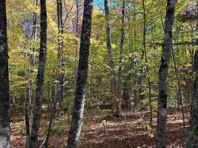 $89,000 | 0 Snell Road, Chester, VT 05143