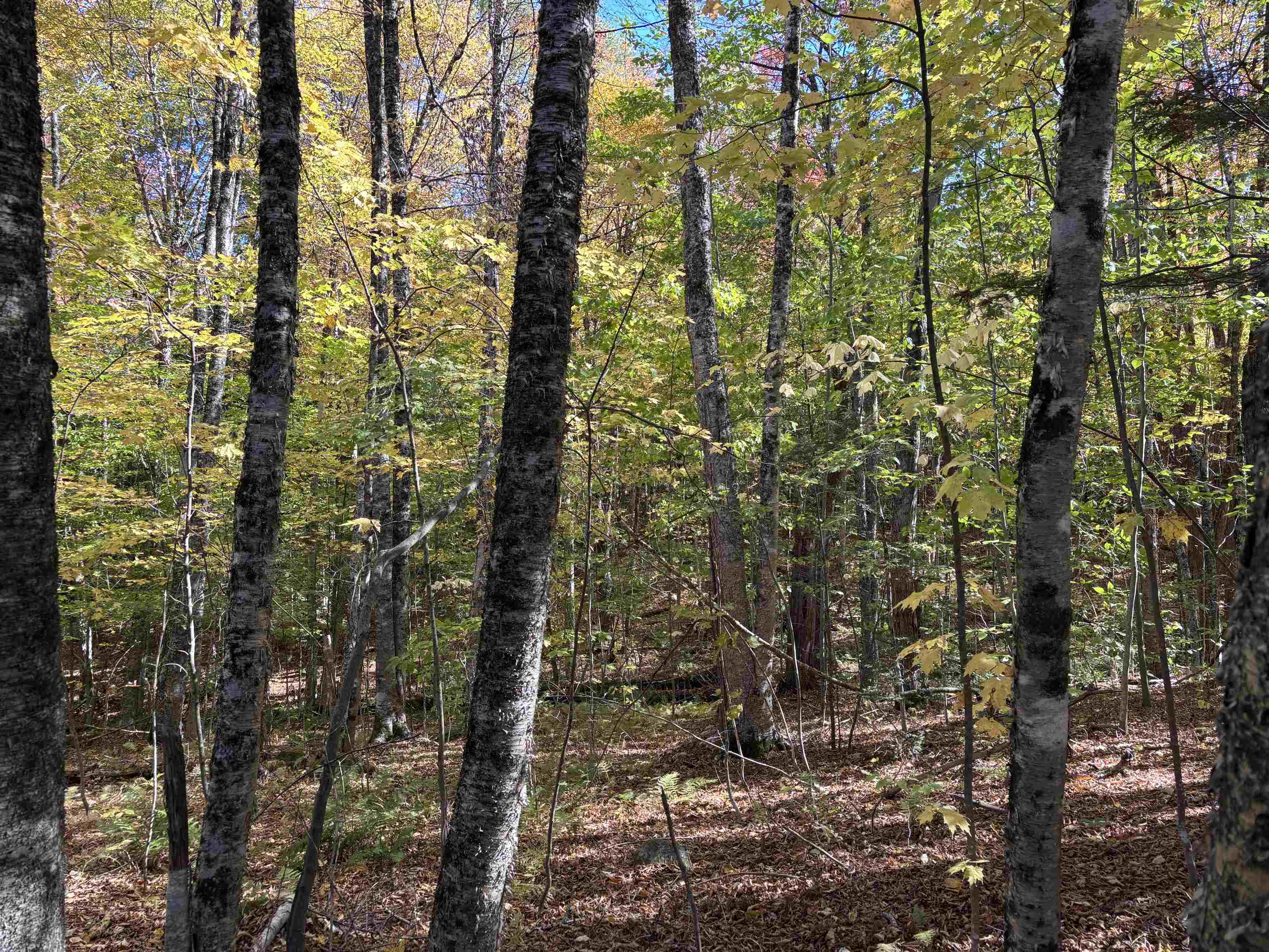 0 Snell Road Chester, VT 05143 - Photo 7 of 24