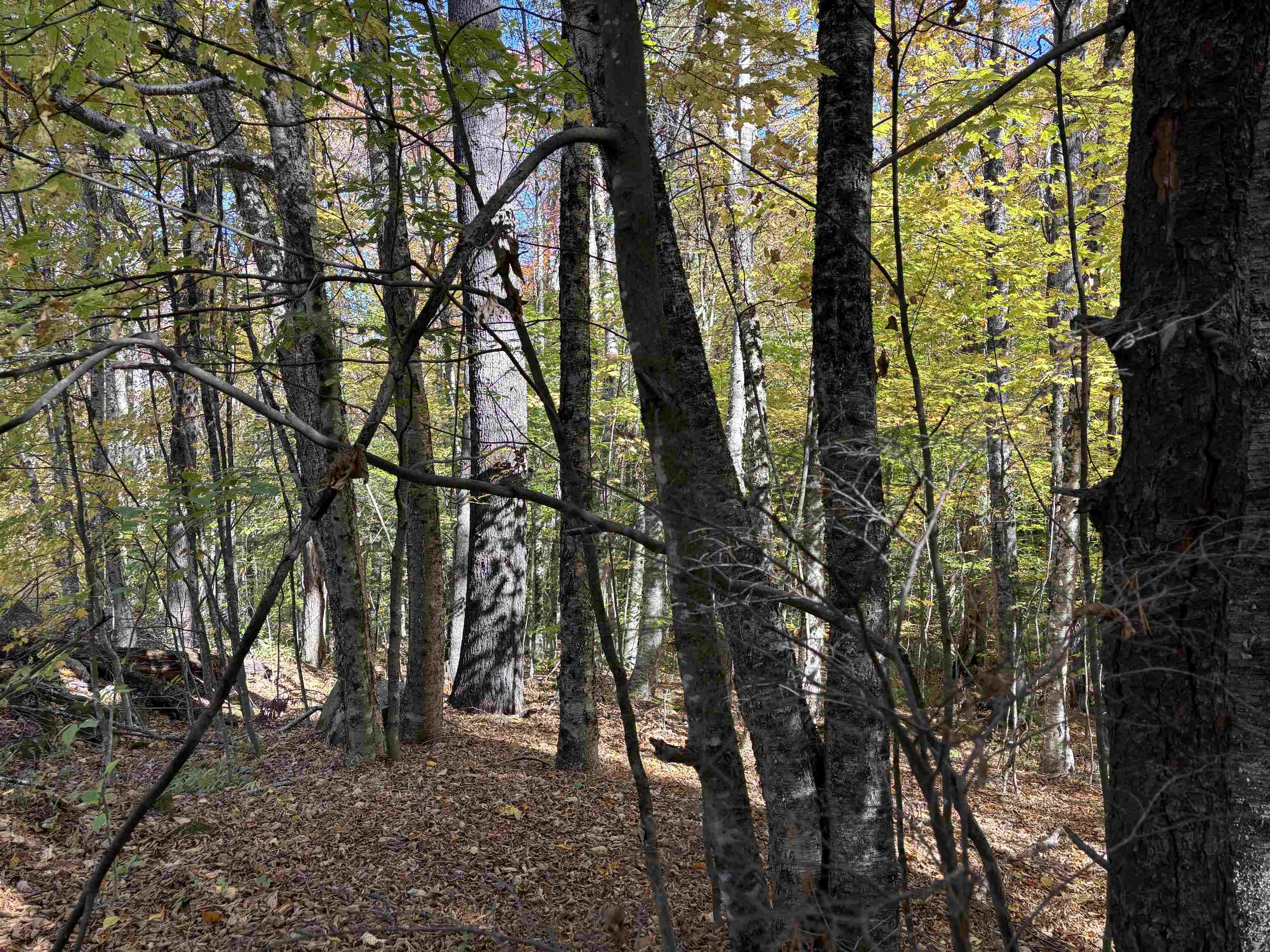 0 Snell Road Chester, VT 05143 - Photo 8 of 24