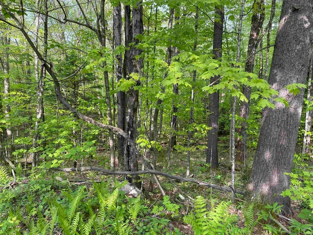 $89,000 | 0 Snell Road, Chester, VT 05143