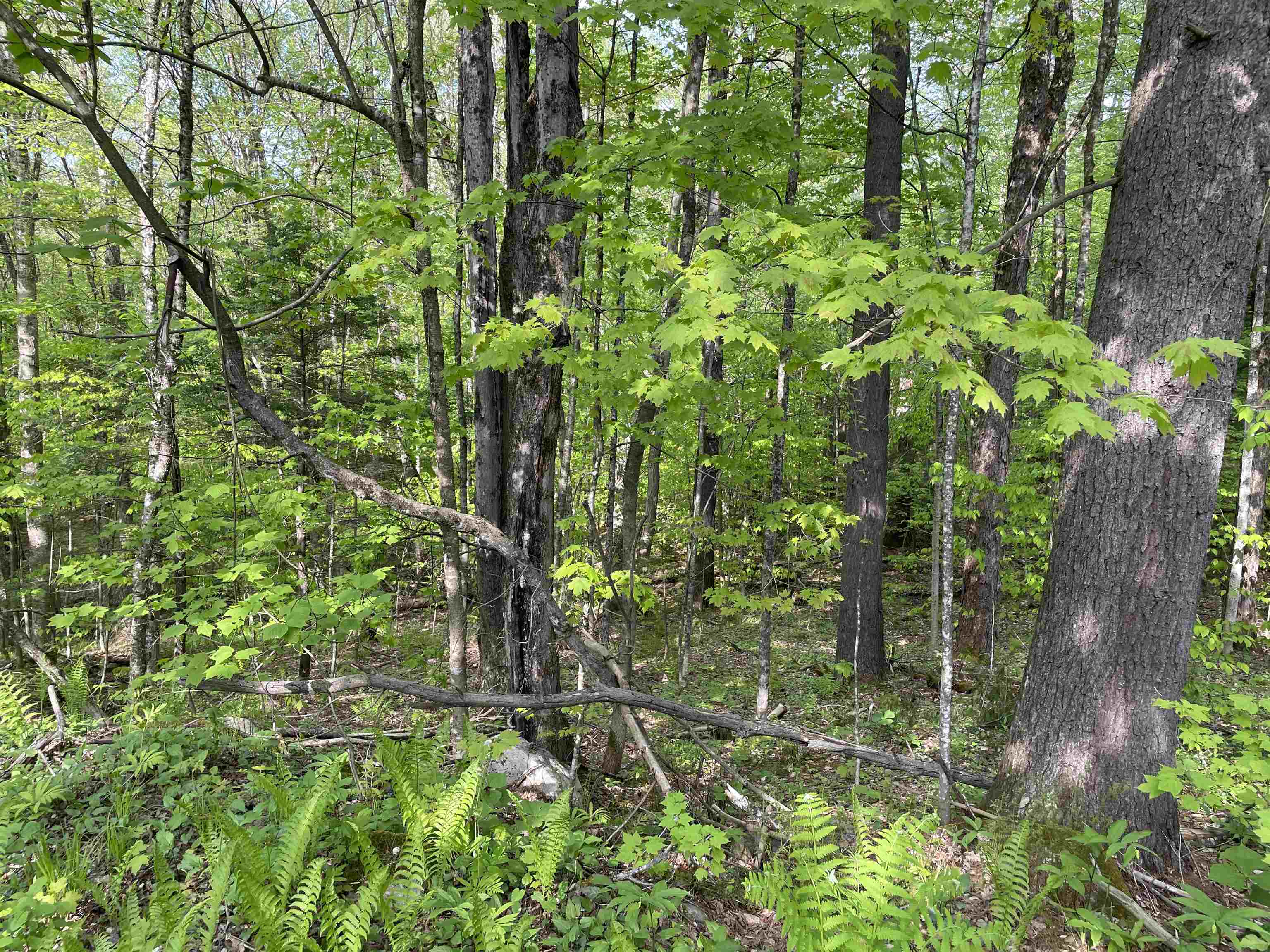 0 Snell Road Chester, VT 05143 - Photo 10 of 24