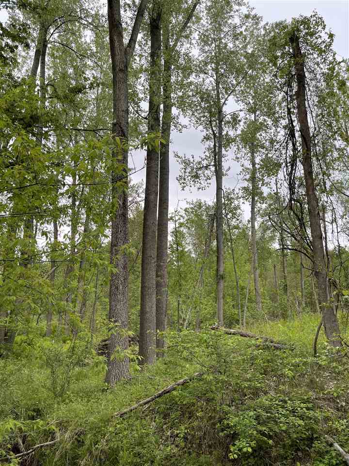 900 North Black Road Twining, MI 48766 - Photo 36 of 53 1887983-35.JPG