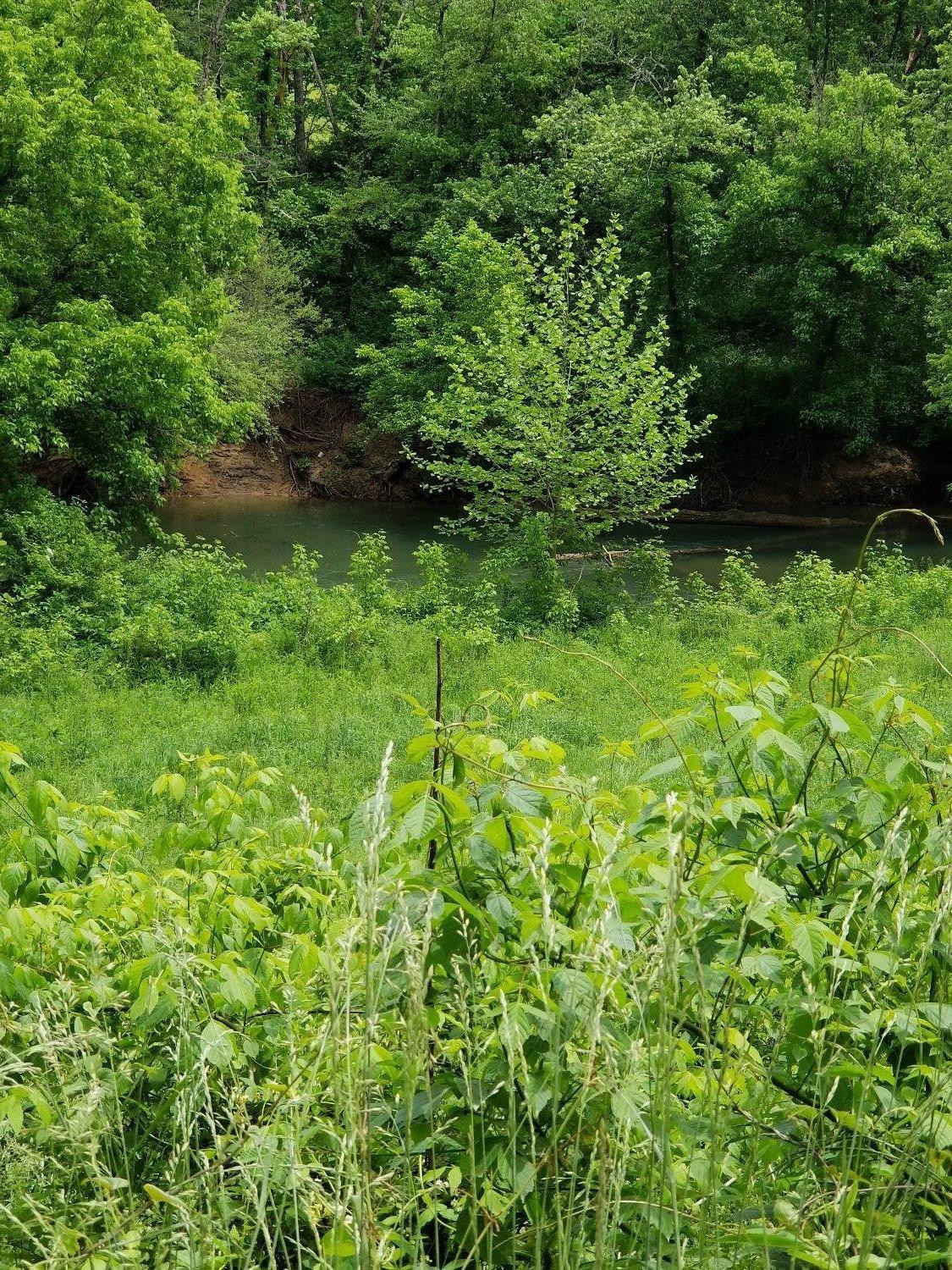 809 Mill Branch School Road Beattyville, KY 41311 - Photo 82 of 97 Photo 84