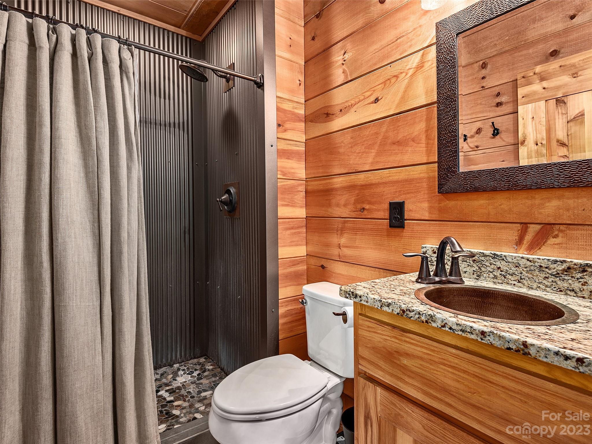 1038 Doggett Gap Road Hot Springs, NC 28743 - Photo 11 of 32 a bathroom with a sink a toilet and shower