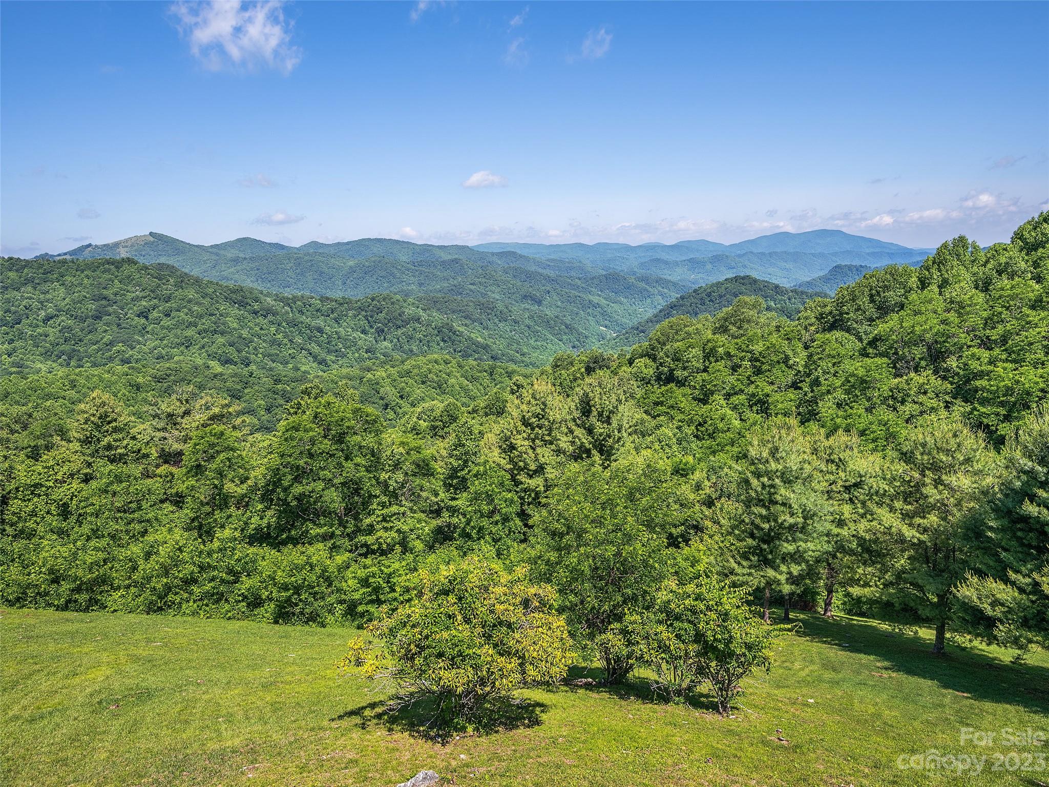 1038 Doggett Gap Road Hot Springs, NC 28743 - Photo 19 of 32 a view of a lush green outdoor space with a lake view