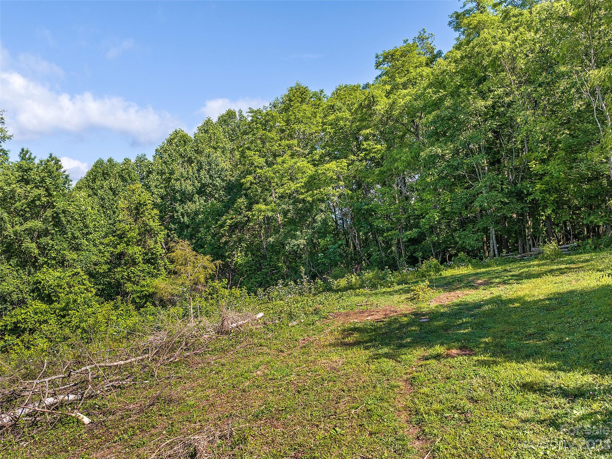 1038 Doggett Gap Road Hot Springs, NC 28743 - Photo 27 of 32 a backyard of a house with lots of green space and garden view