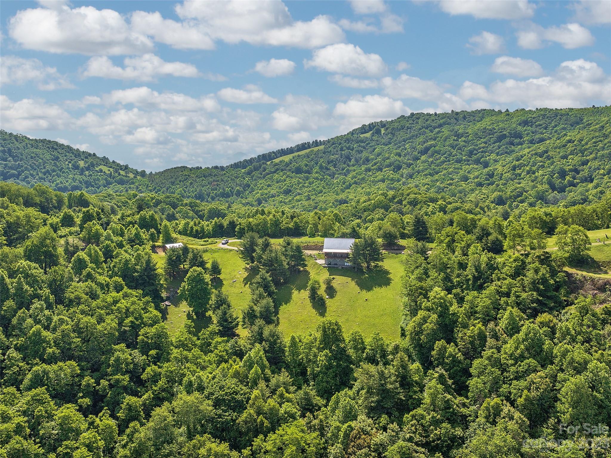 1038 Doggett Gap Road Hot Springs, NC 28743 - Photo 29 of 32 a view of a lake from a yard