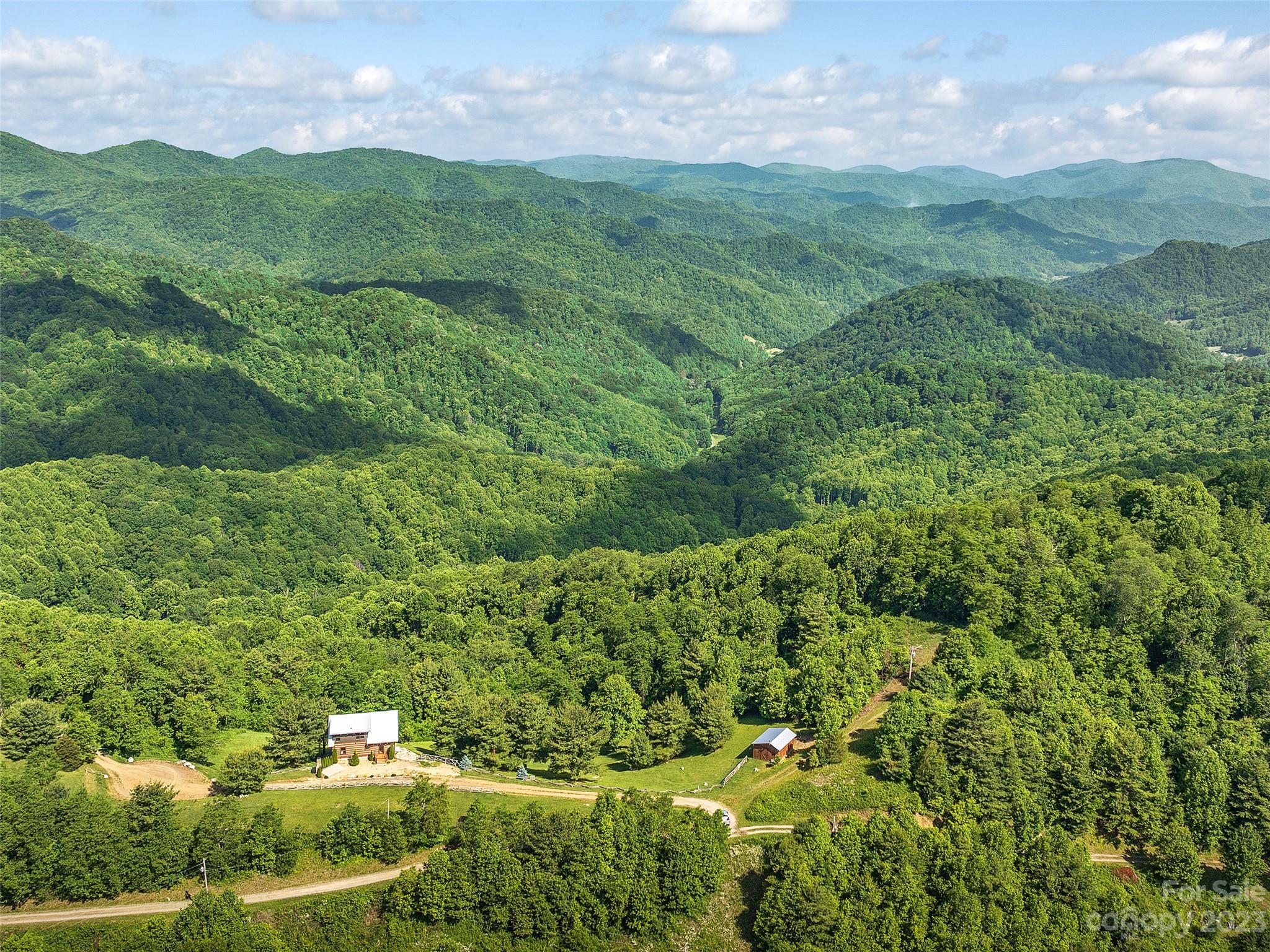 1038 Doggett Gap Road Hot Springs, NC 28743 - Photo 31 of 32 a view of a lush green outdoor space with lots of bushes and green space