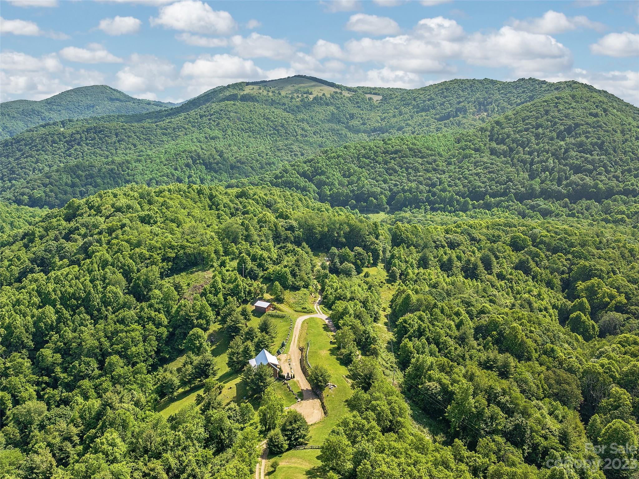 1038 Doggett Gap Road Hot Springs, NC 28743 - Photo 32 of 32 a view of a green field with lots of bushes