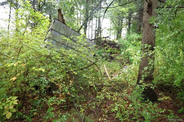 $99,000 | 6067 Route 81, Greenville, NY 12083