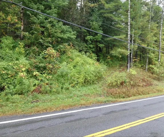 $99,000 | 6067 Route 81, Greenville, NY 12083