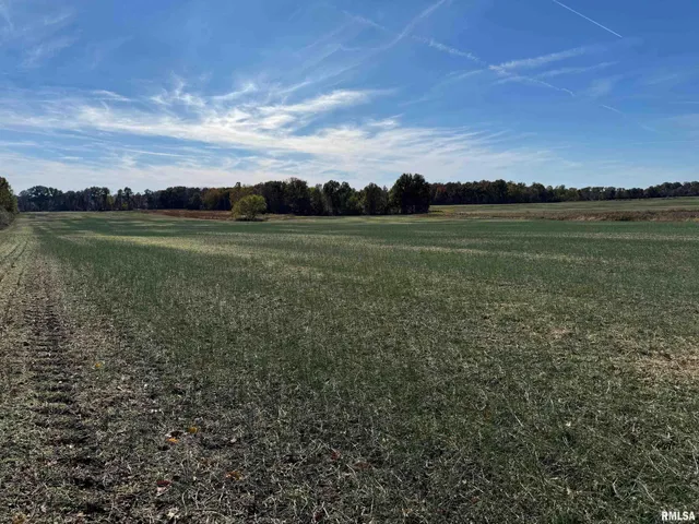 $890,000 | 0 Akin Road, Thompsonville, IL 62890