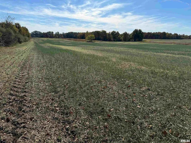 $890,000 | 0 Akin Road, Thompsonville, IL 62890