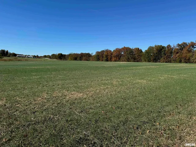 $890,000 | 0 Akin Road, Thompsonville, IL 62890