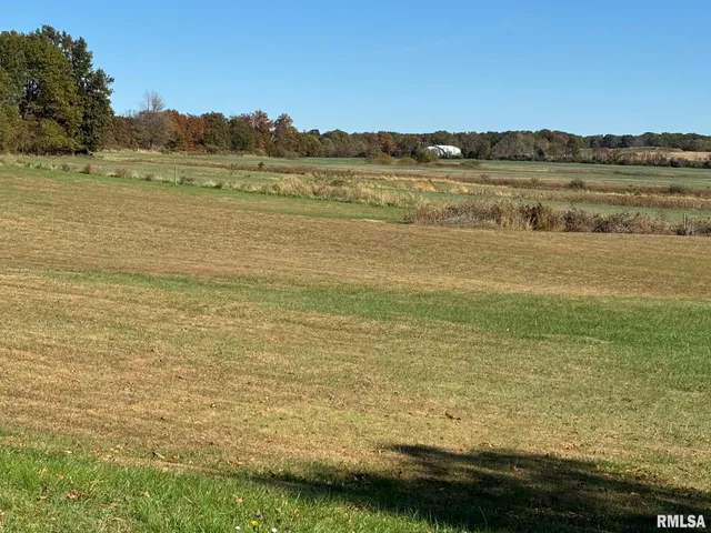 $890,000 | 0 Akin Road, Thompsonville, IL 62890