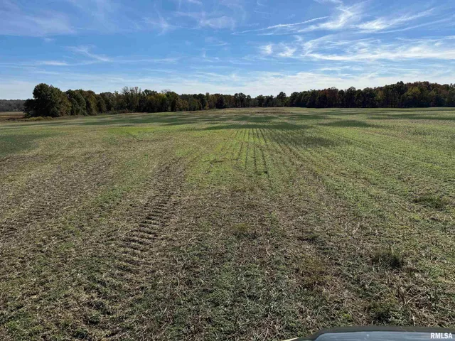 $890,000 | 0 Akin Road, Thompsonville, IL 62890