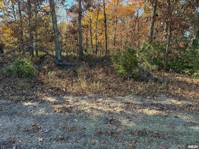 $890,000 | 0 Akin Road, Thompsonville, IL 62890