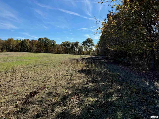 $890,000 | 0 Akin Road, Thompsonville, IL 62890
