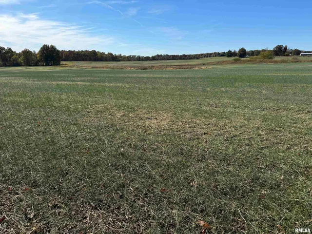 $890,000 | 0 Akin Road, Thompsonville, IL 62890