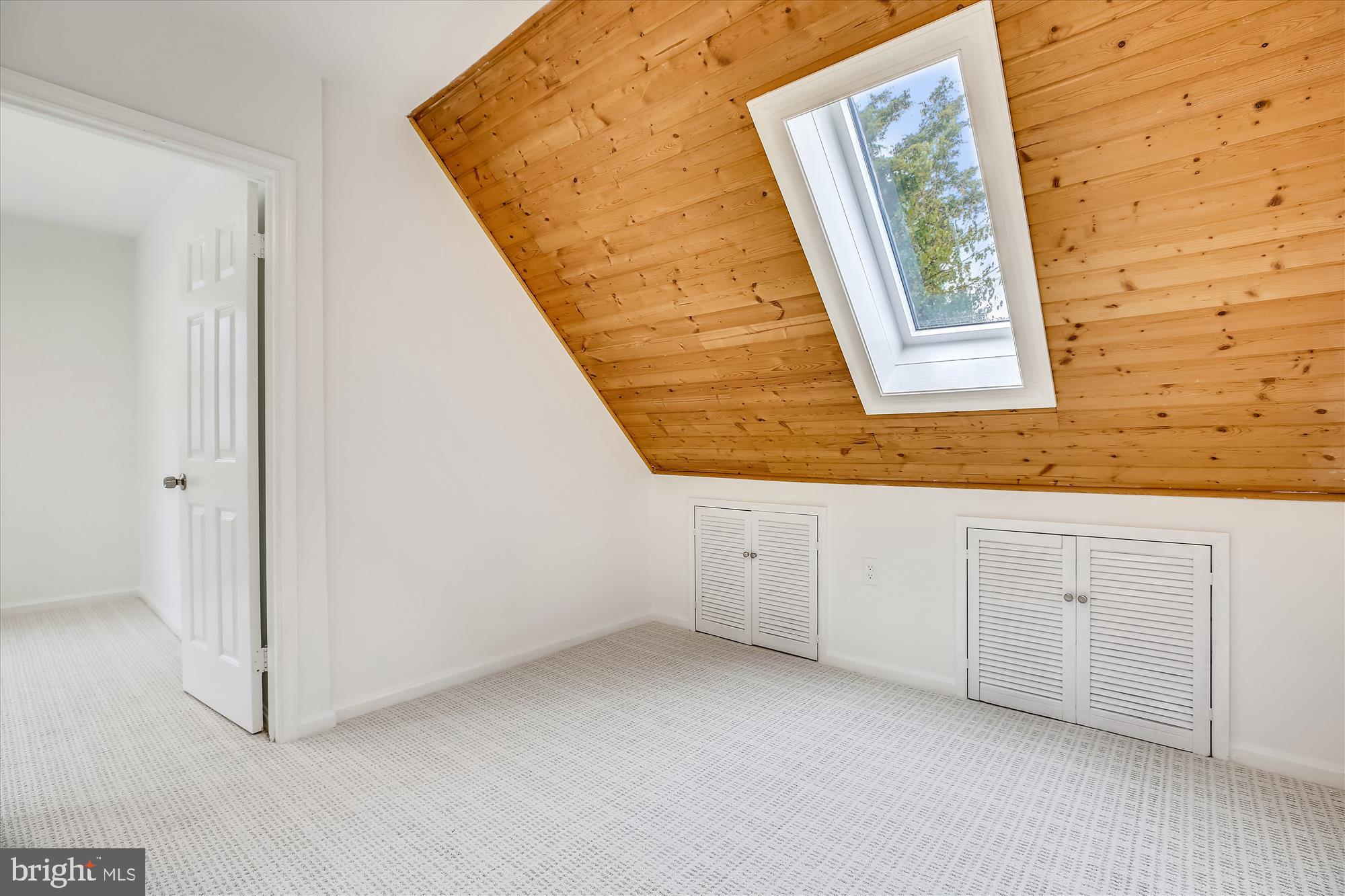 2403 Darrow Street Silver Spring, MD 20902 - Photo 35 of 63 LOFT with SKYLIGHT