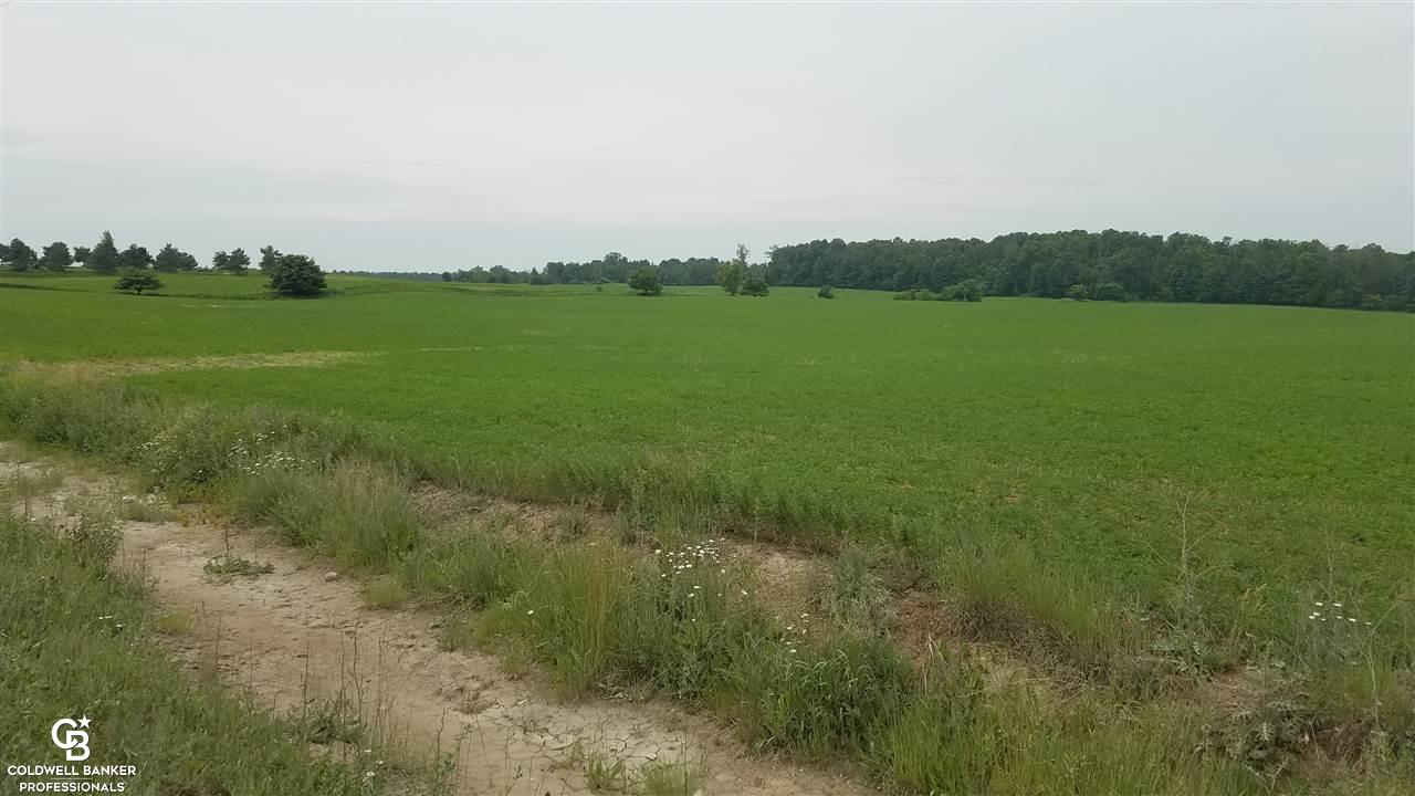 Palms Ville Palms, MI 48465 - Photo 2 of 13