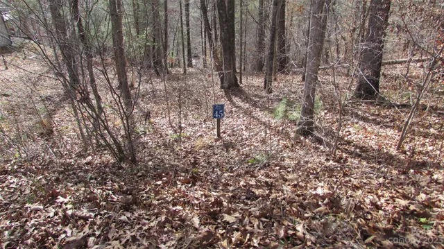a view of small space with lots of trees