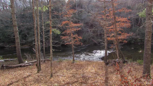 a view of a yard with large trees