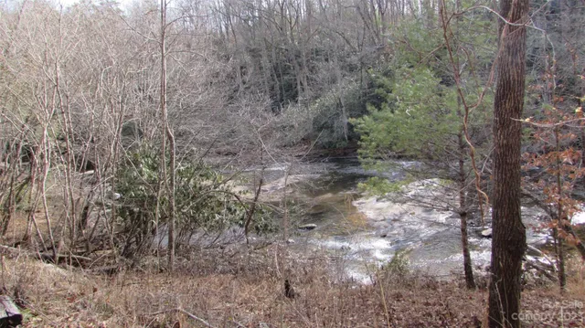 a view of a forest with trees