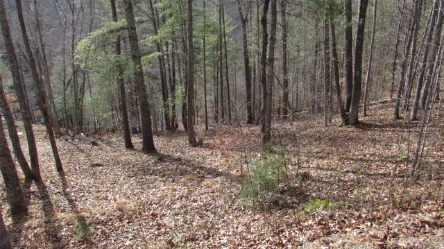 a view of outdoor space with green space