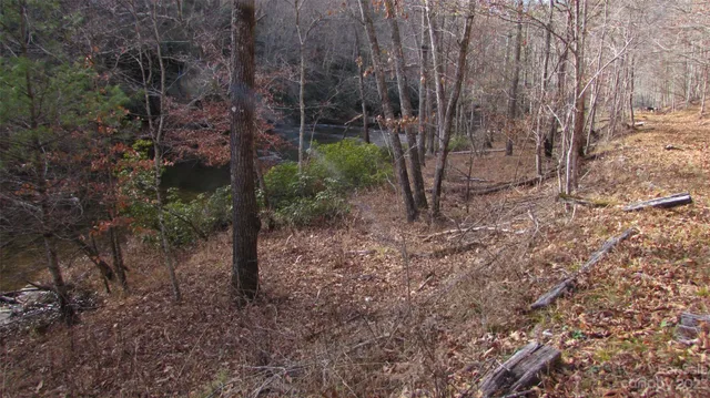 a picture of flowers