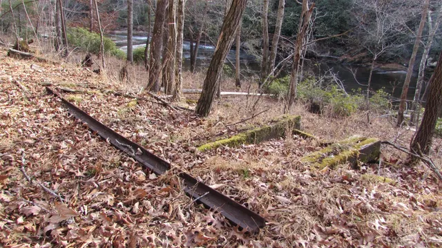 a backyard of a house with lots of trees
