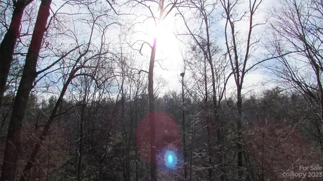 a sign board with tall trees