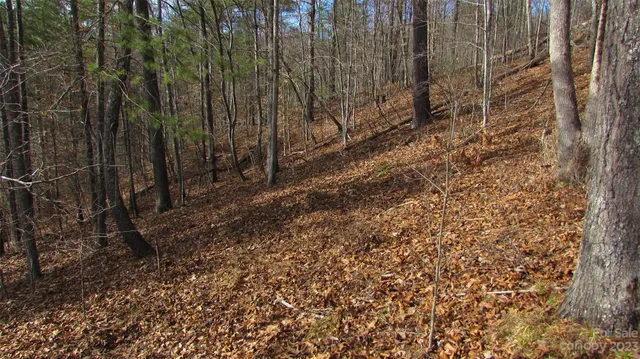 a view of a yard with trees in front of it