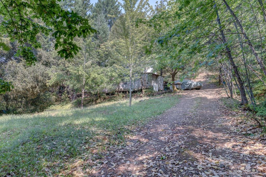 121 Thompson Creek Road Selma, OR 97538 - Photo 3 of 9 Additional Photo