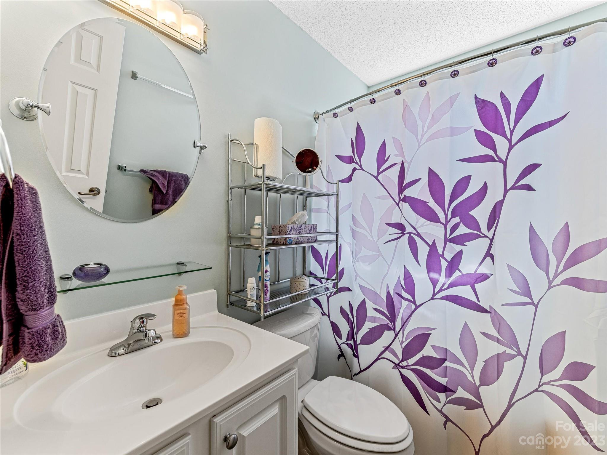 33 Black River Road Fletcher, NC 28732 - Photo 19 of 30 a bathroom with a sink and mirror with toilet