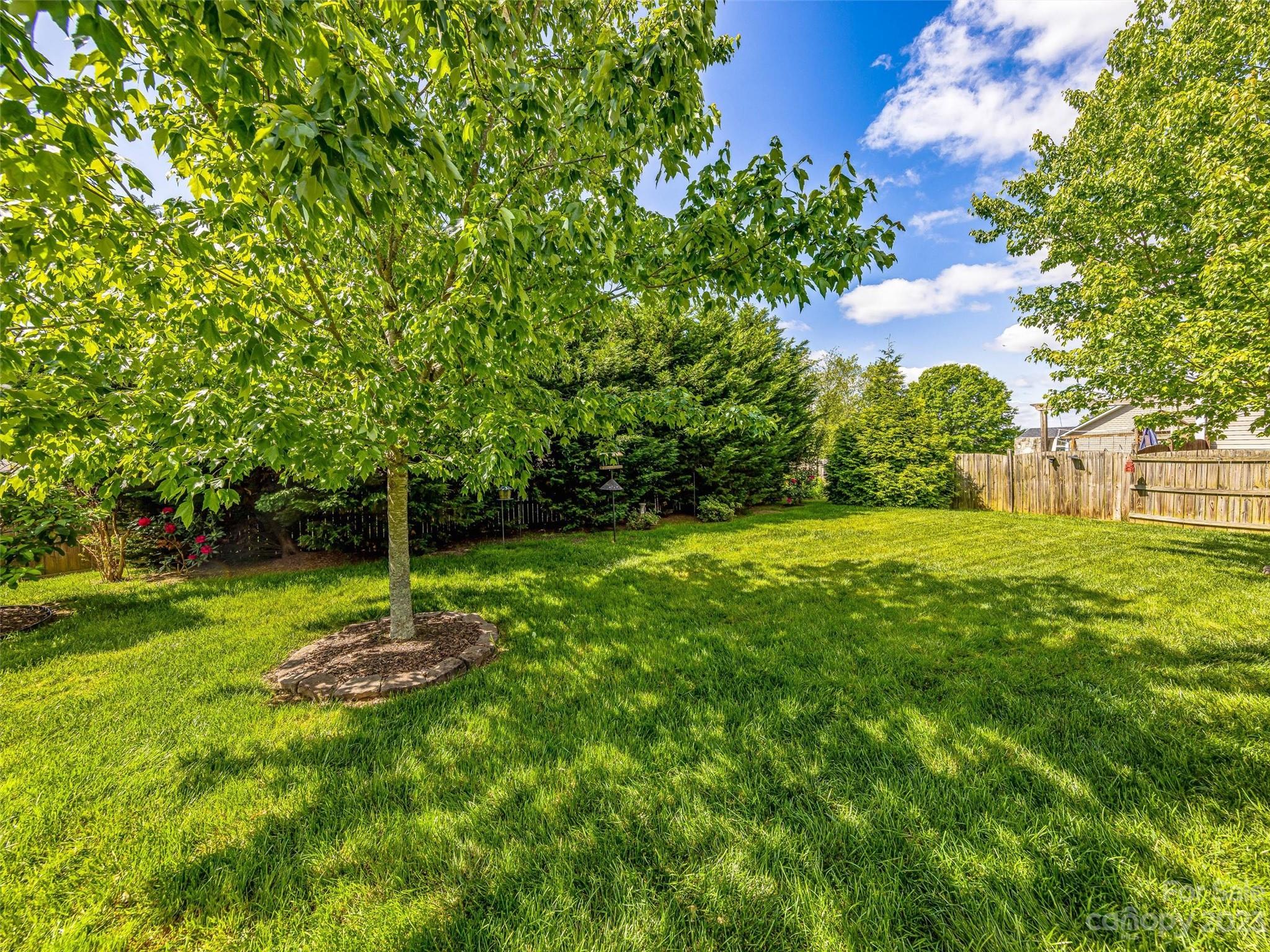 33 Black River Road Fletcher, NC 28732 - Photo 25 of 30 a view of a tree in a yard
