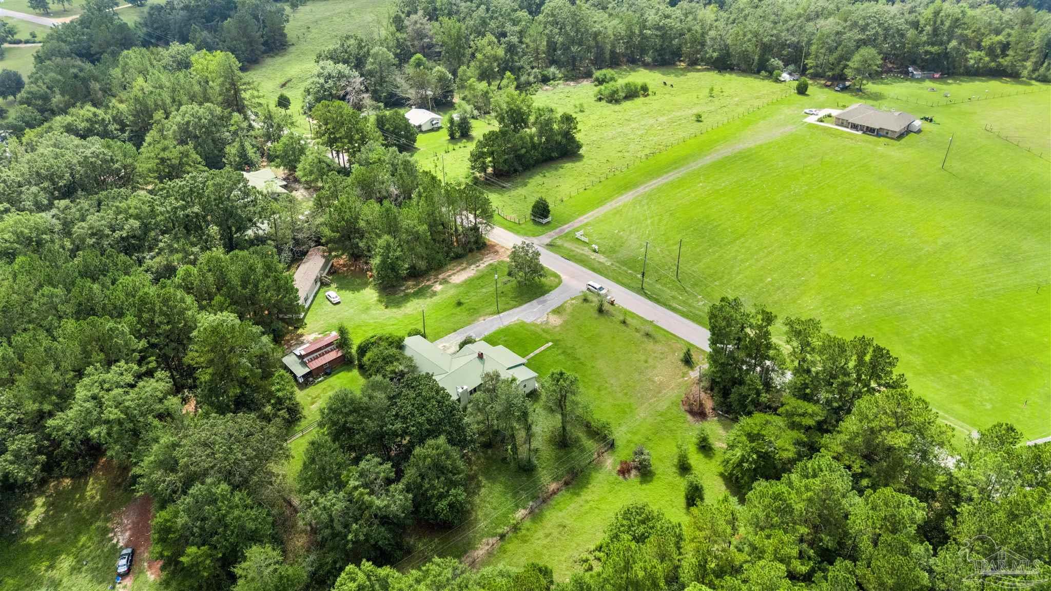 4176 Morristown Road Jay, FL 32565 - Photo 32 of 41 a backyard of a house with lots of green space and trees all around