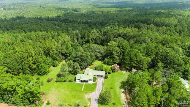 a view of a garden with a building in a yard