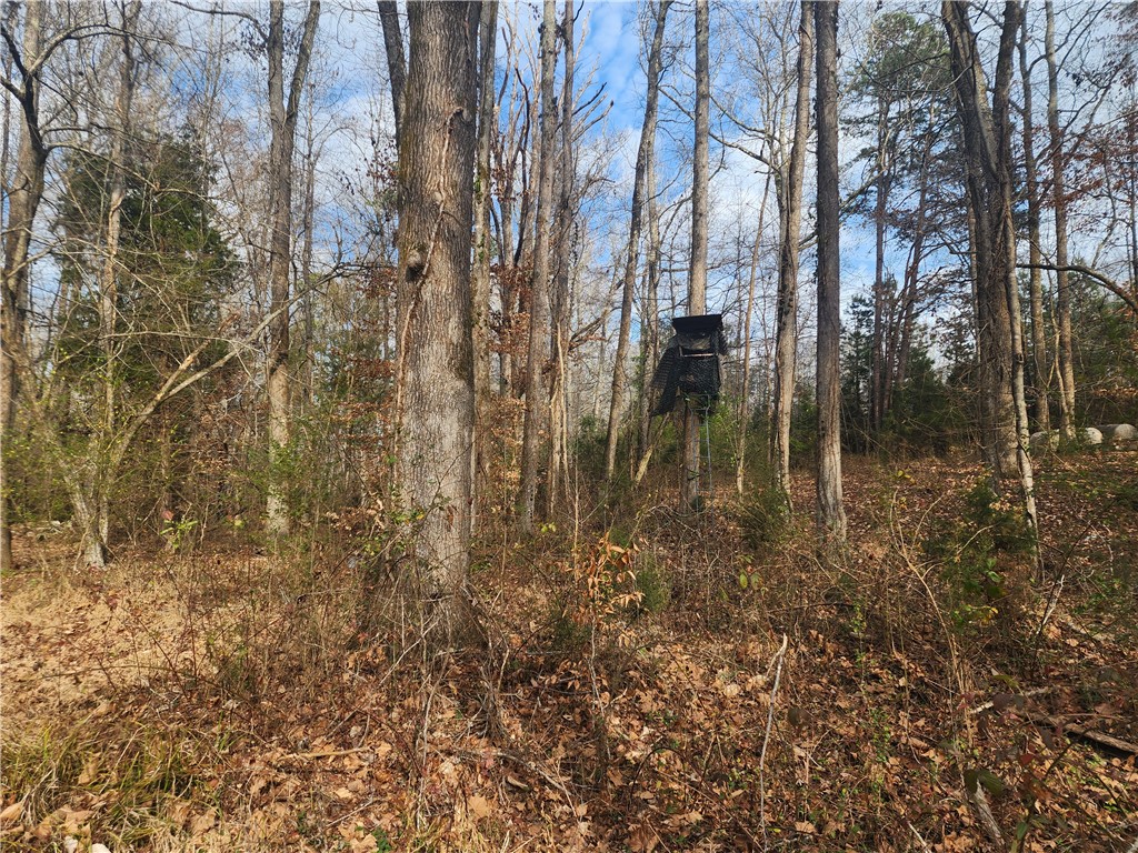 3068 State Rd S-30-40 Gray Court, SC 29645 - Photo 22 of 32