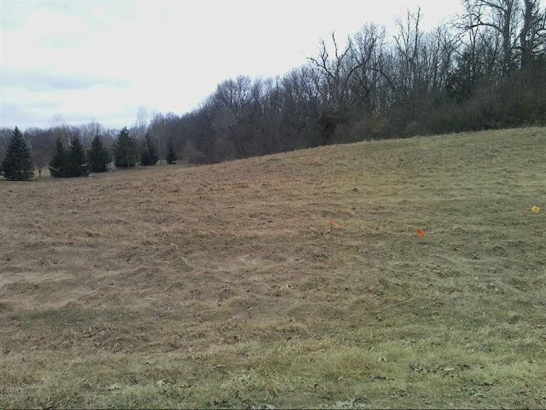 0 Ridge Road, Unit 24 Chelsea, MI 48118 - Photo 2 of 2 Photo 2