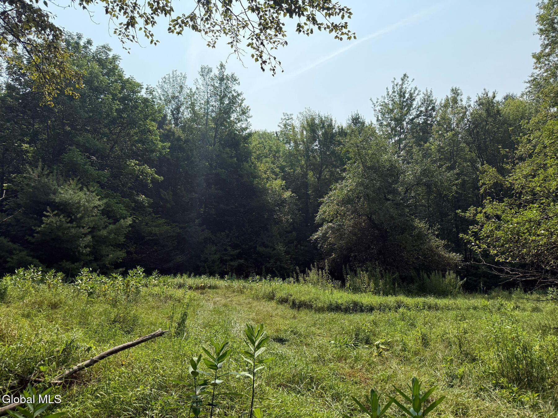 L17 Vanderwalker Road Chestertown, NY 12817 - Photo 1 of 9 photo_online_000