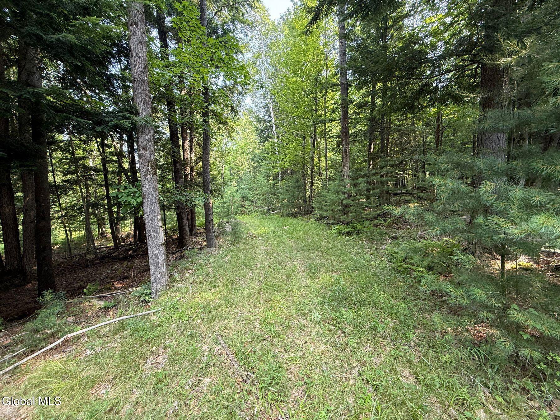 L17 Vanderwalker Road Chestertown, NY 12817 - Photo 4 of 9 photo_online_003